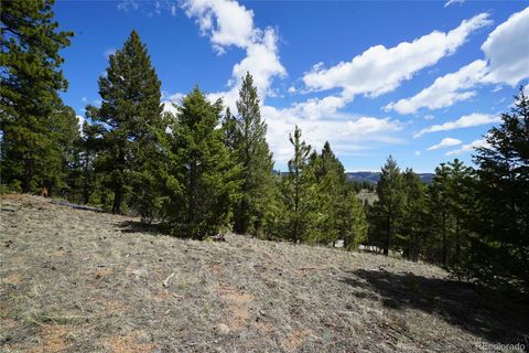 750 Lions Head Ranch Road, Pine, CO 80470 - #: 6030277