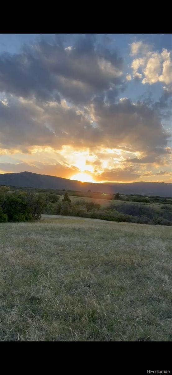 5250 Tall Horse Trail