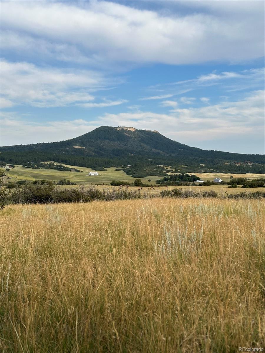 5250 Tall Horse Trail