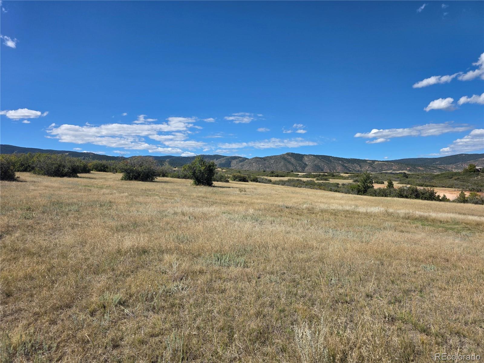 5250 Tall Horse Trail