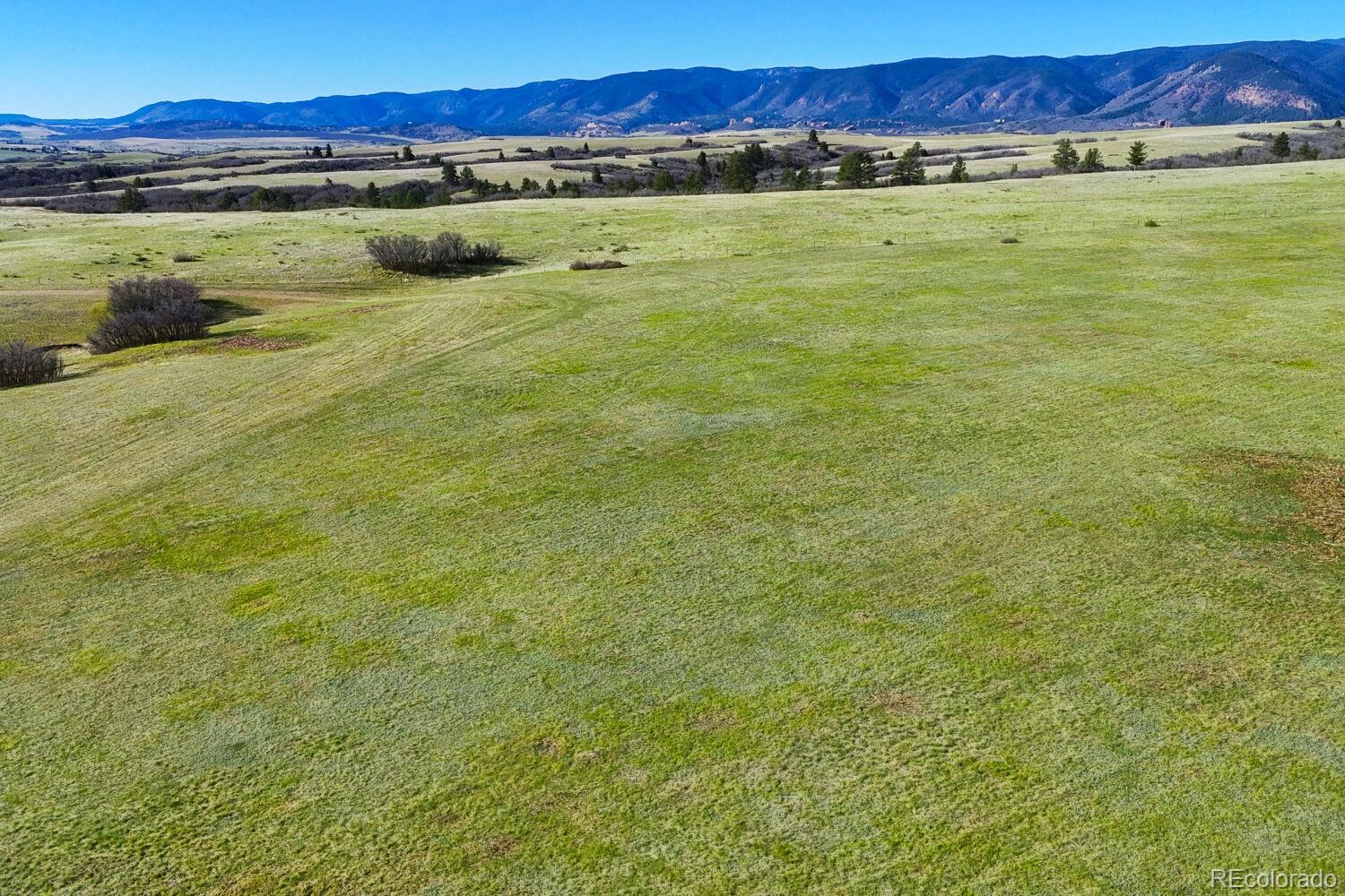 5250 Tall Horse Trail