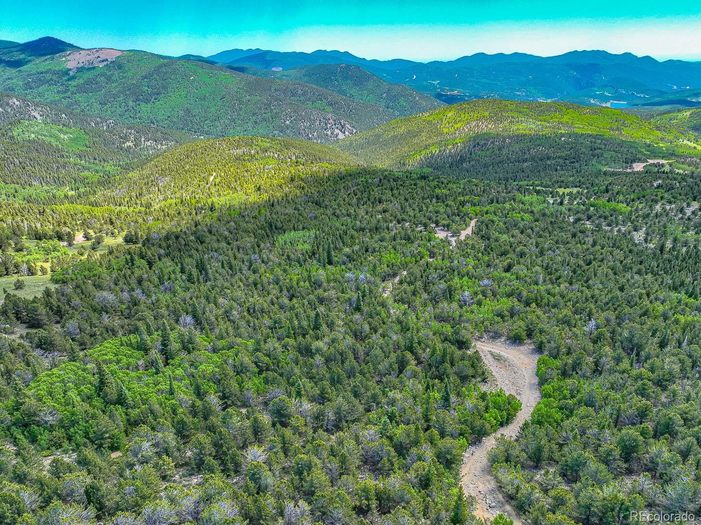 123 Yankee Hill Trail