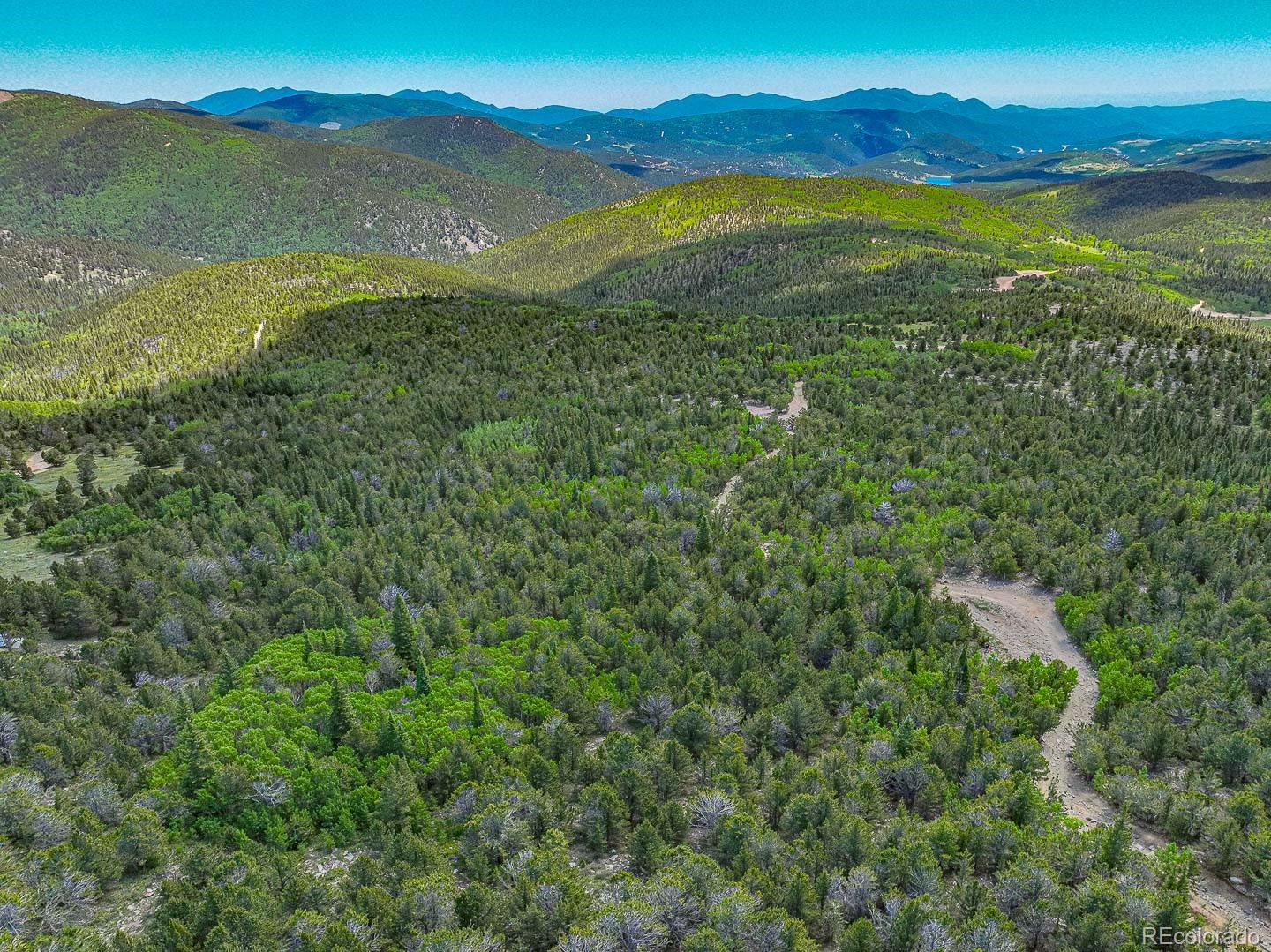 123 Yankee Hill Trail