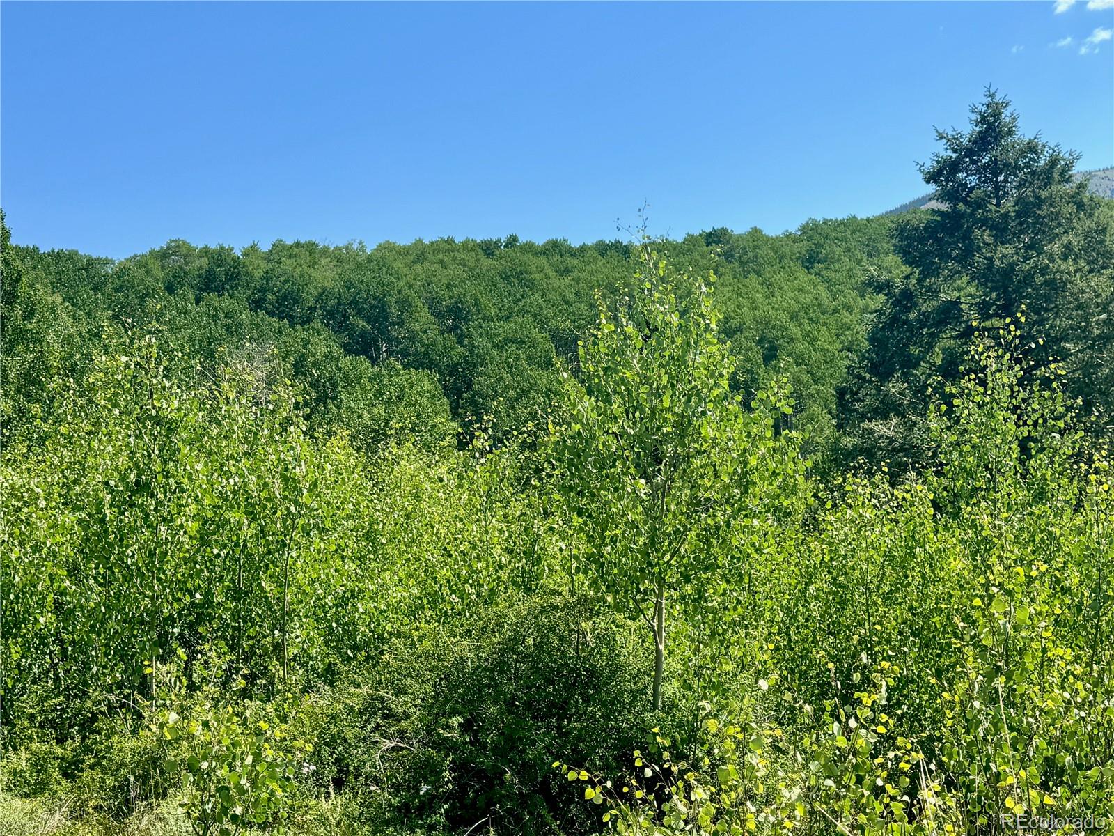 Lot 5850 Richardson Road
