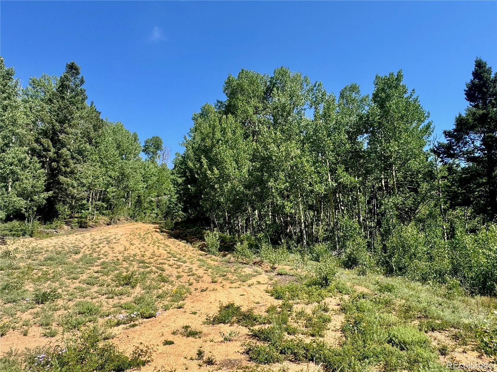 Lot 5850 Richardson Road