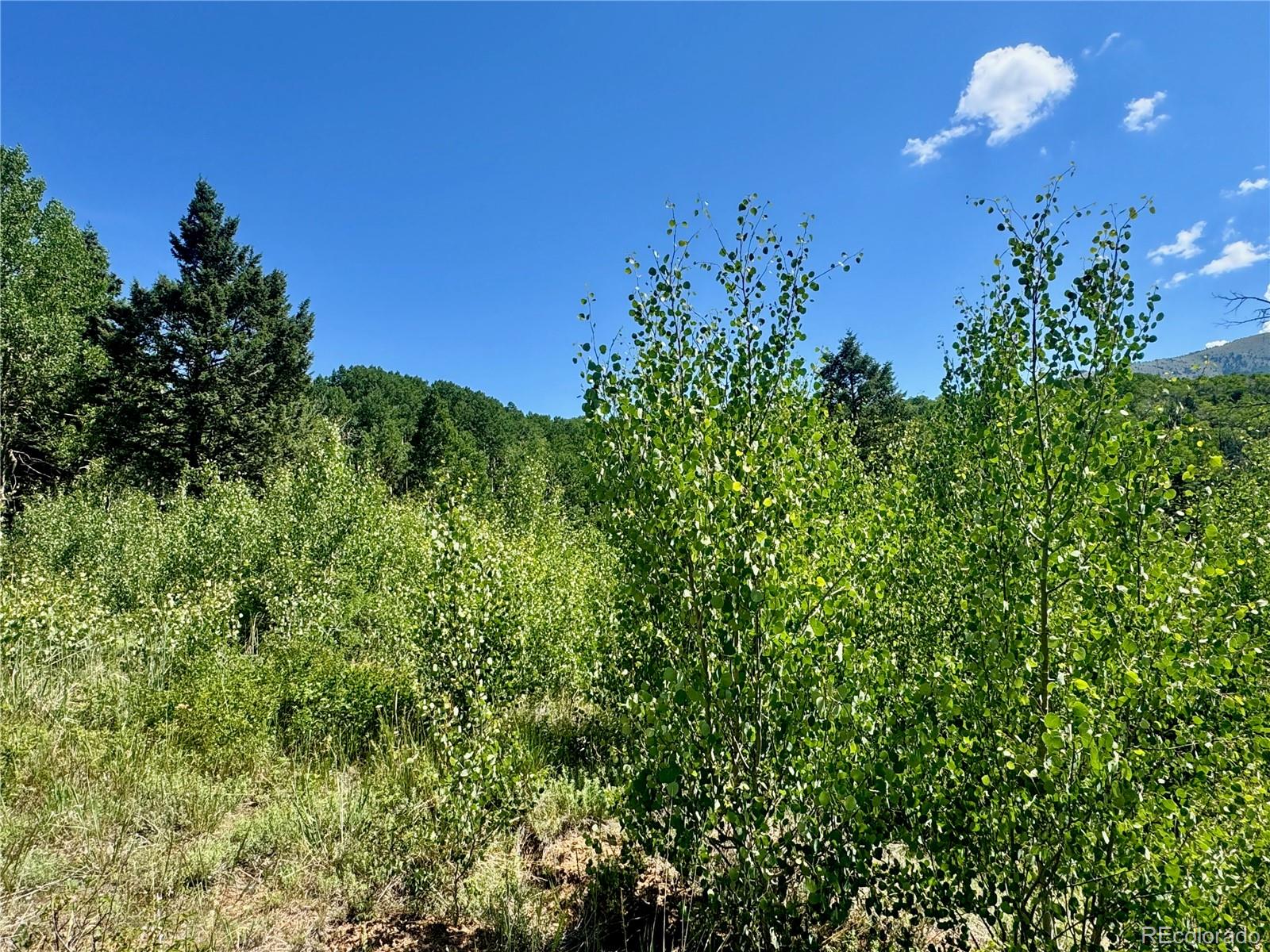 Lot 5850 Richardson Road