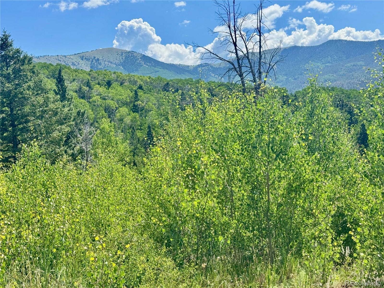 Lot 5850 Richardson Road