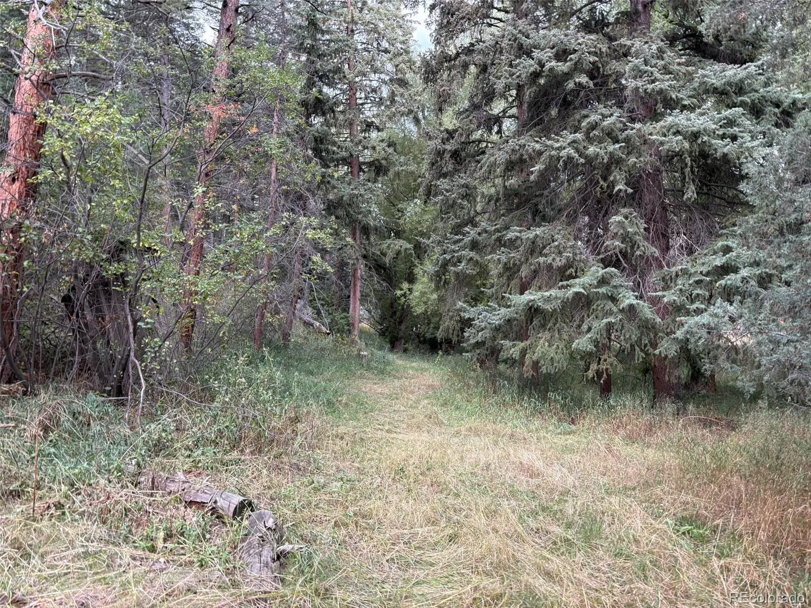 Indian Hills, Colorado 80454, United States, ,Land,Active,215450