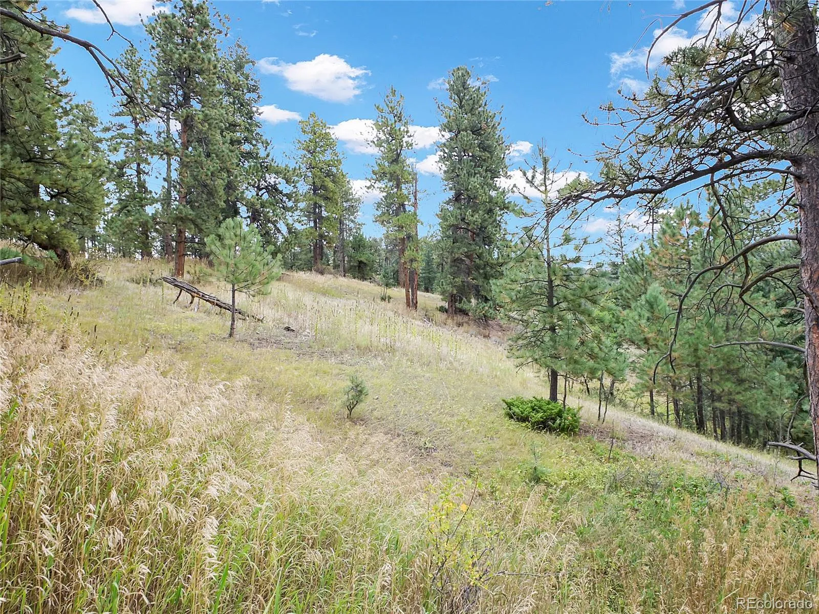 Indian Hills, Colorado 80454, United States, ,Land,Active,215450