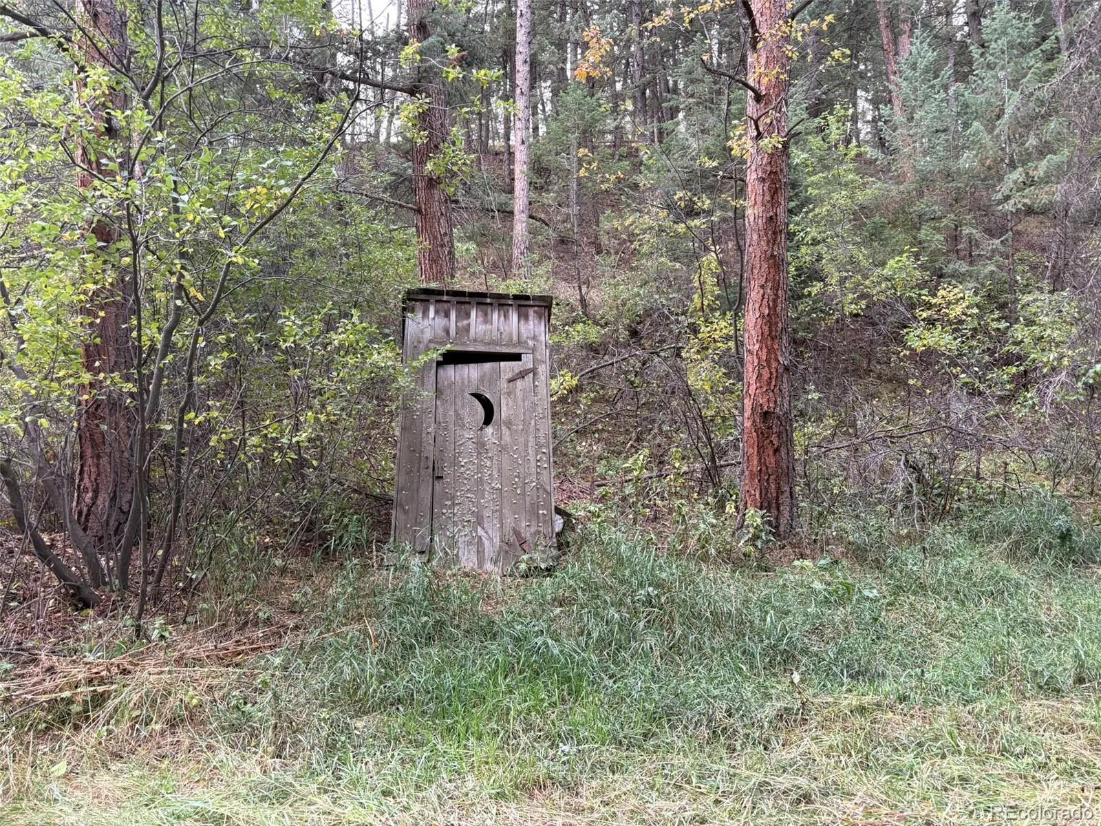 Indian Hills, Colorado 80454, United States, ,Land,Active,215450