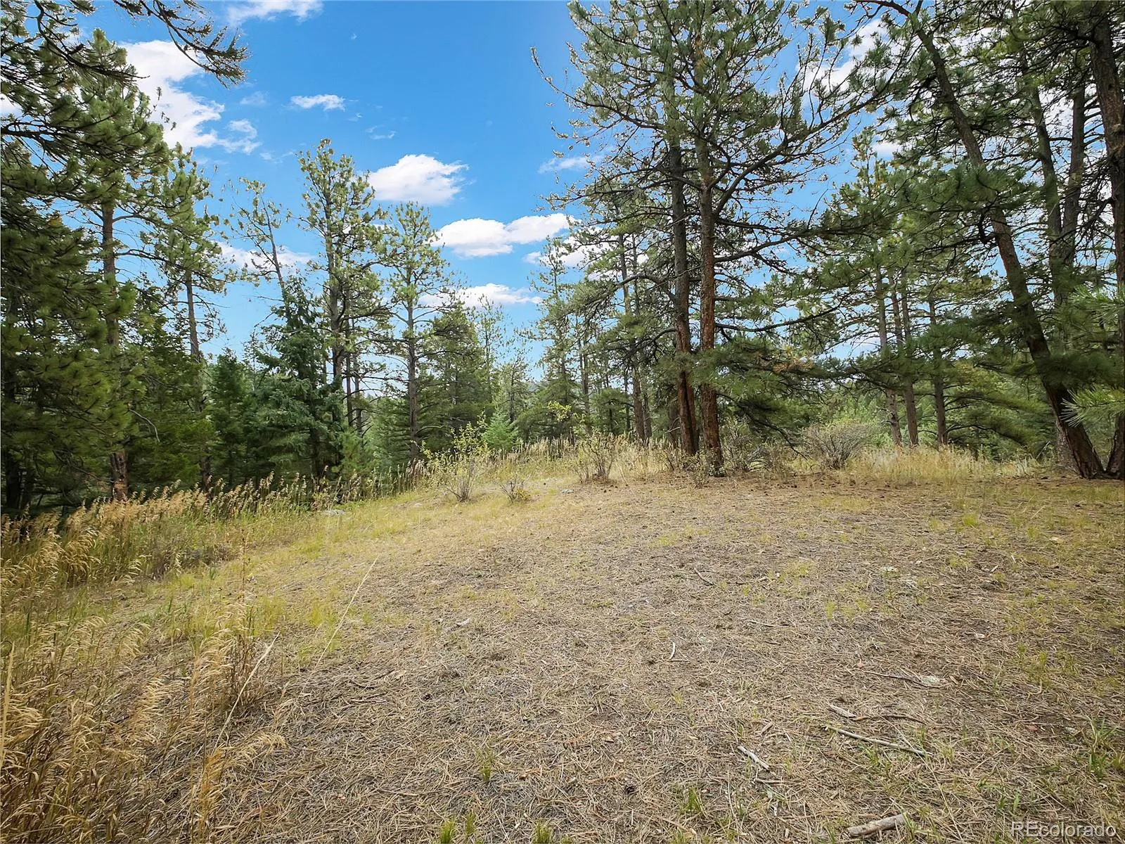 Indian Hills, Colorado 80454, United States, ,Land,Active,215450