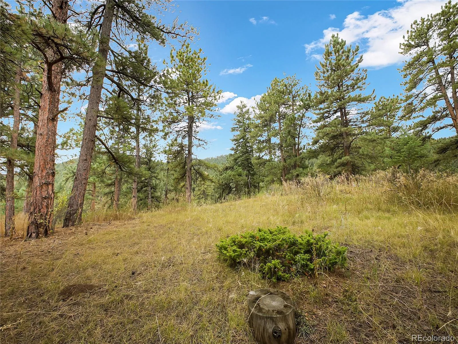 Indian Hills, Colorado 80454, United States, ,Land,Active,215450
