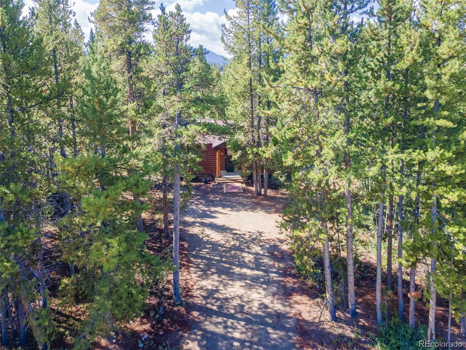 946 Mulligan Street, Fraser, CO, 80442 1 946 Mulligan Street