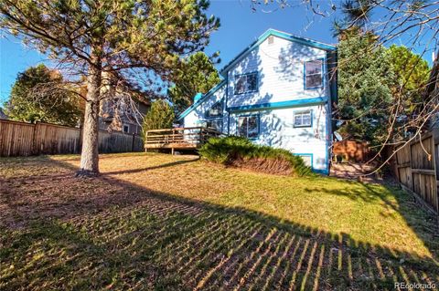 4583 N Wildflowers Way Castle Rock CO 80109