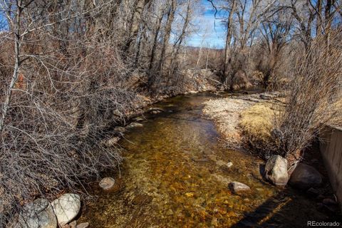 29571 County Road 350a Buena Vista CO 81211