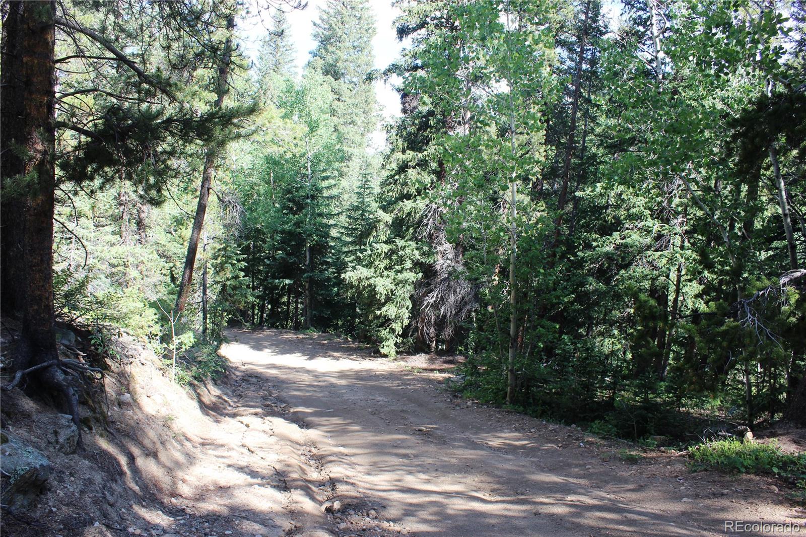 00 Sunflower Road