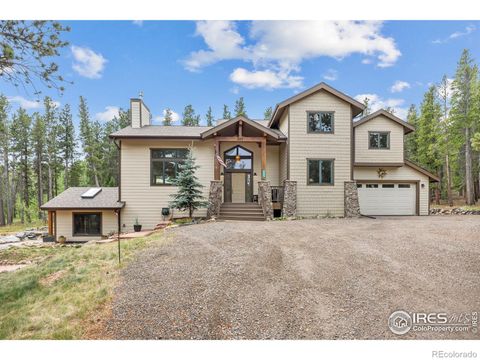 225 Indian Peaks Drive Nederland CO 80466