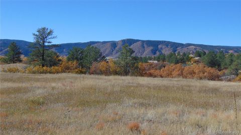 4771 Jackson Creek Road Sedalia CO 80135