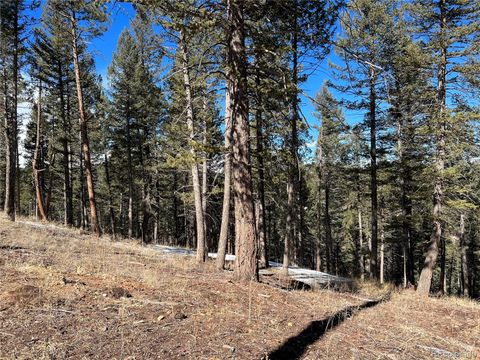 7871 Gold Rush Morrison CO 80465