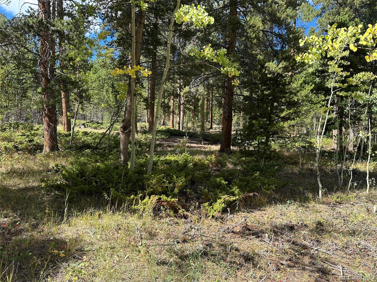 2774 Upper Apex Road, Central City, CO, 80427 4 2774 Upper Apex Road