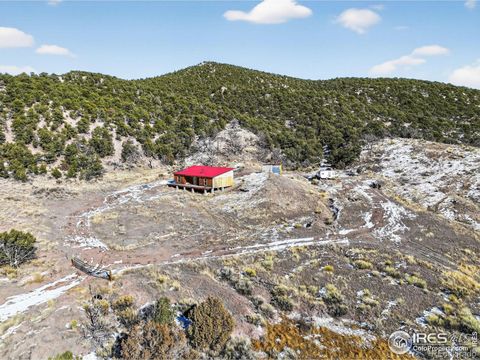 4291 Stratton Road Fort Garland CO 81133