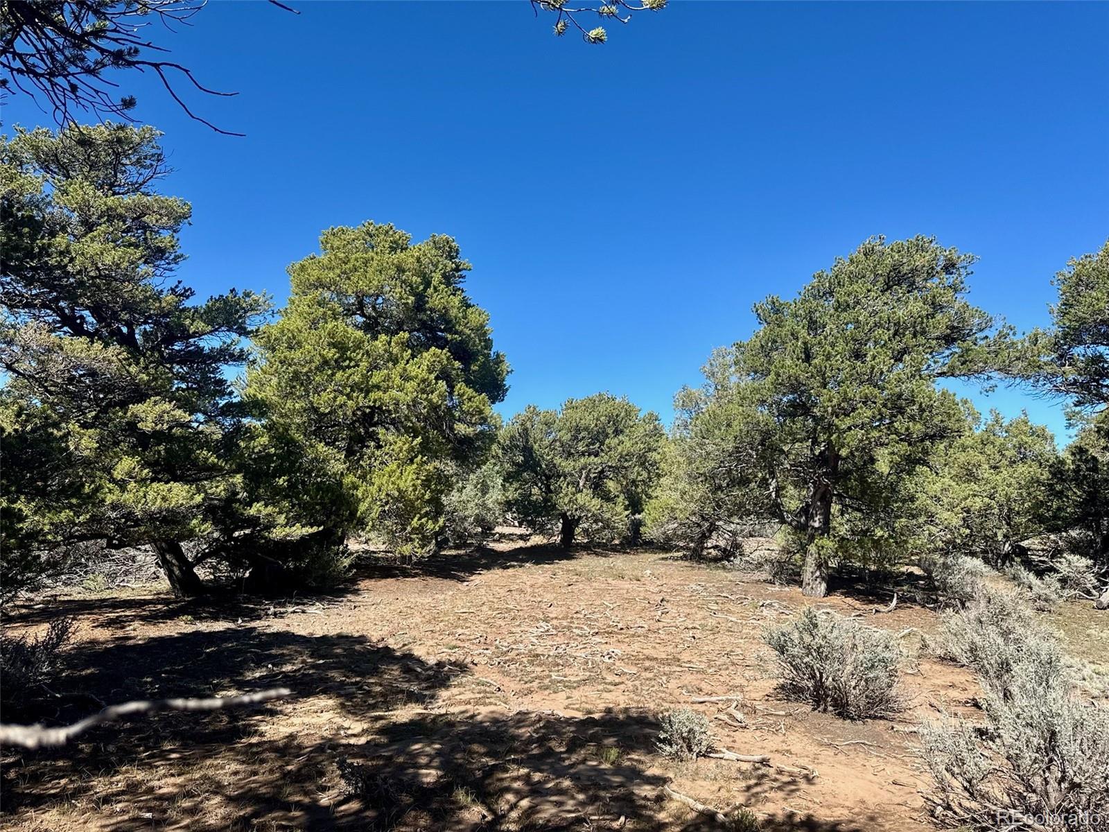 36 AC Elk Park Road