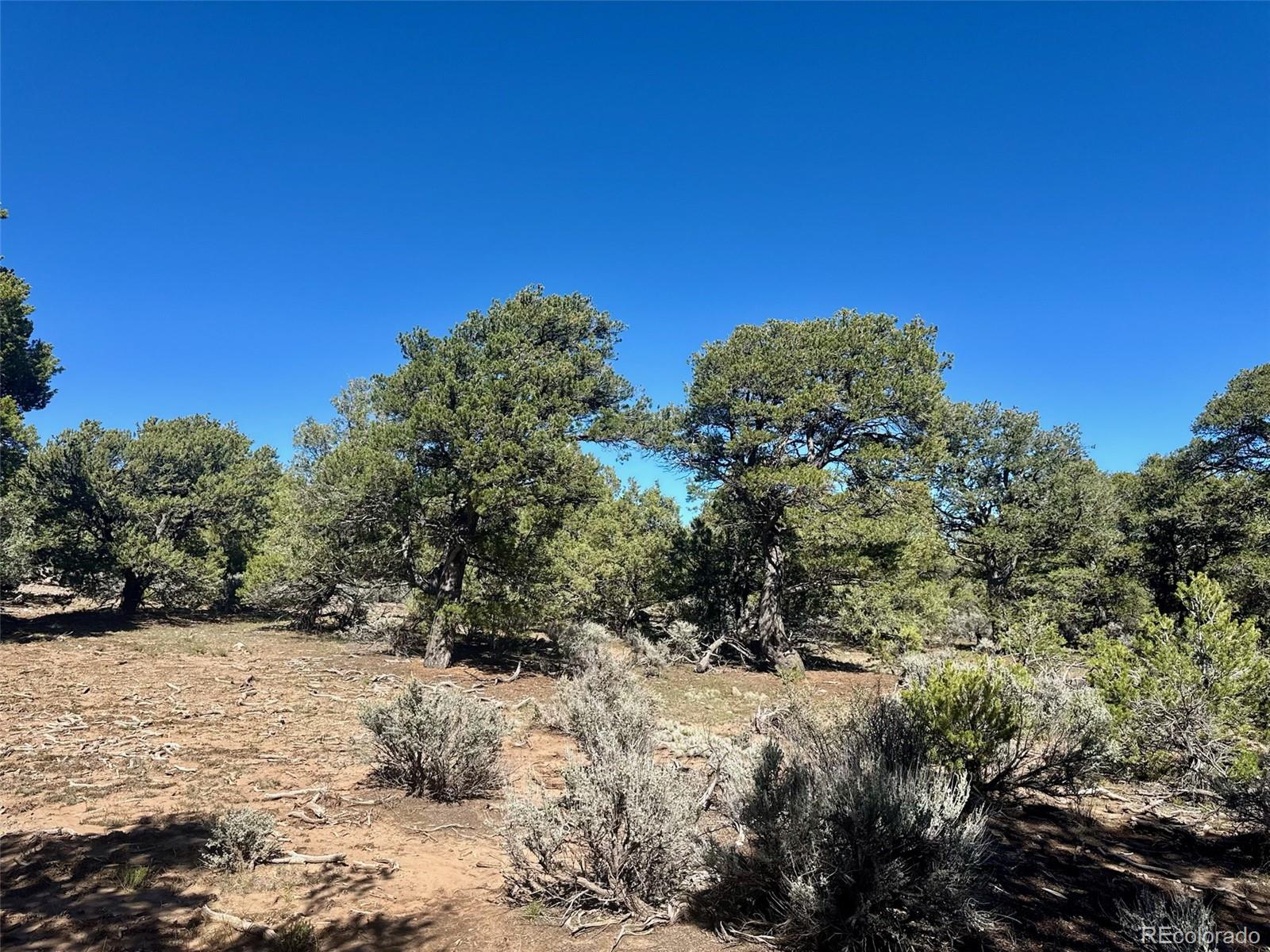 36 AC Elk Park Road