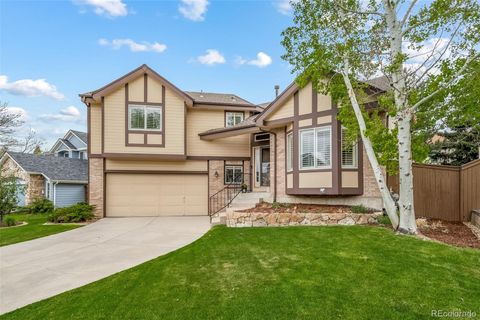 9222 Buttonhill Court, Highlands Ranch, CO 80130 - #: 5022938