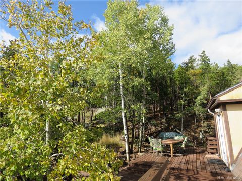 8691 S Warhawk Road Conifer CO 80433