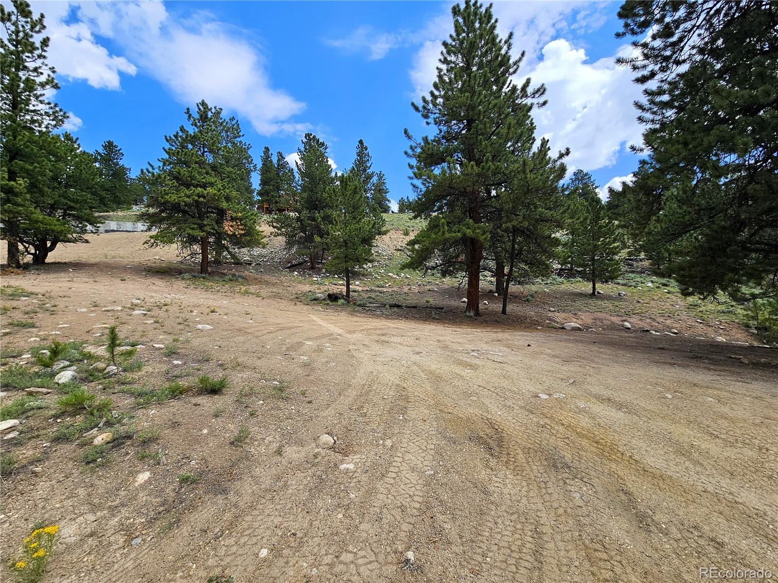 368 Parry Peak Drive