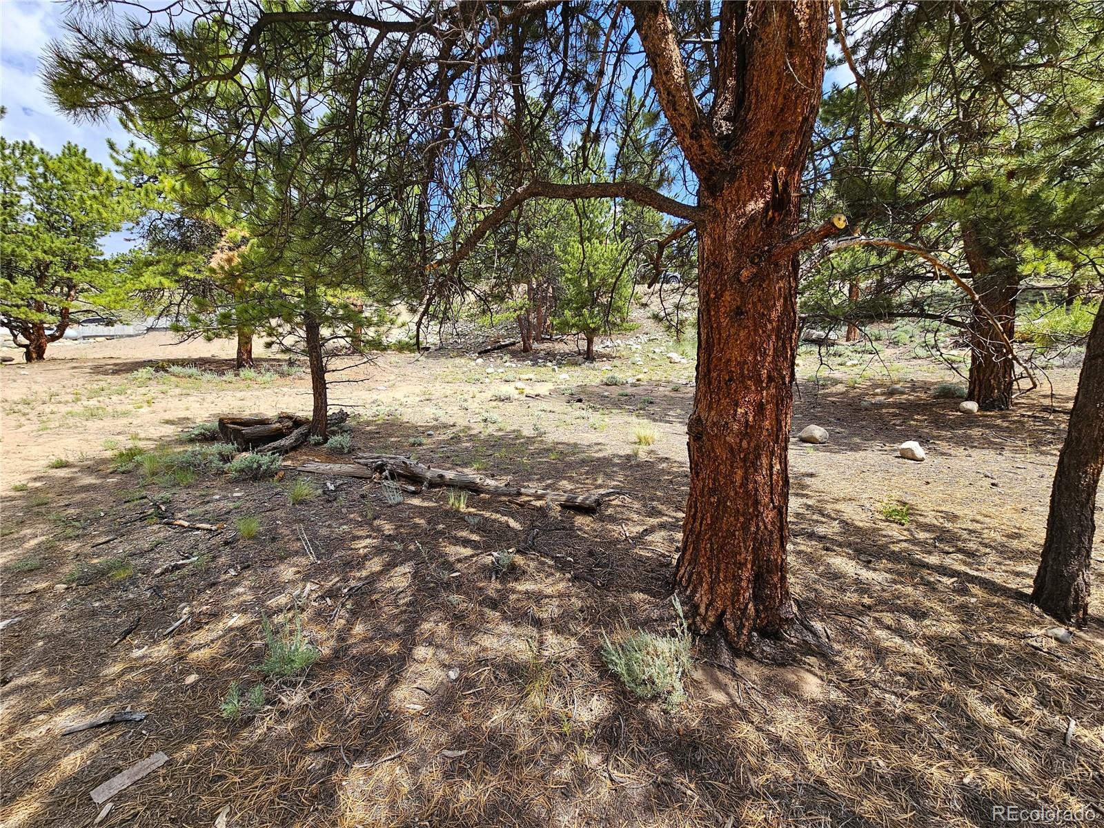 368 Parry Peak Drive