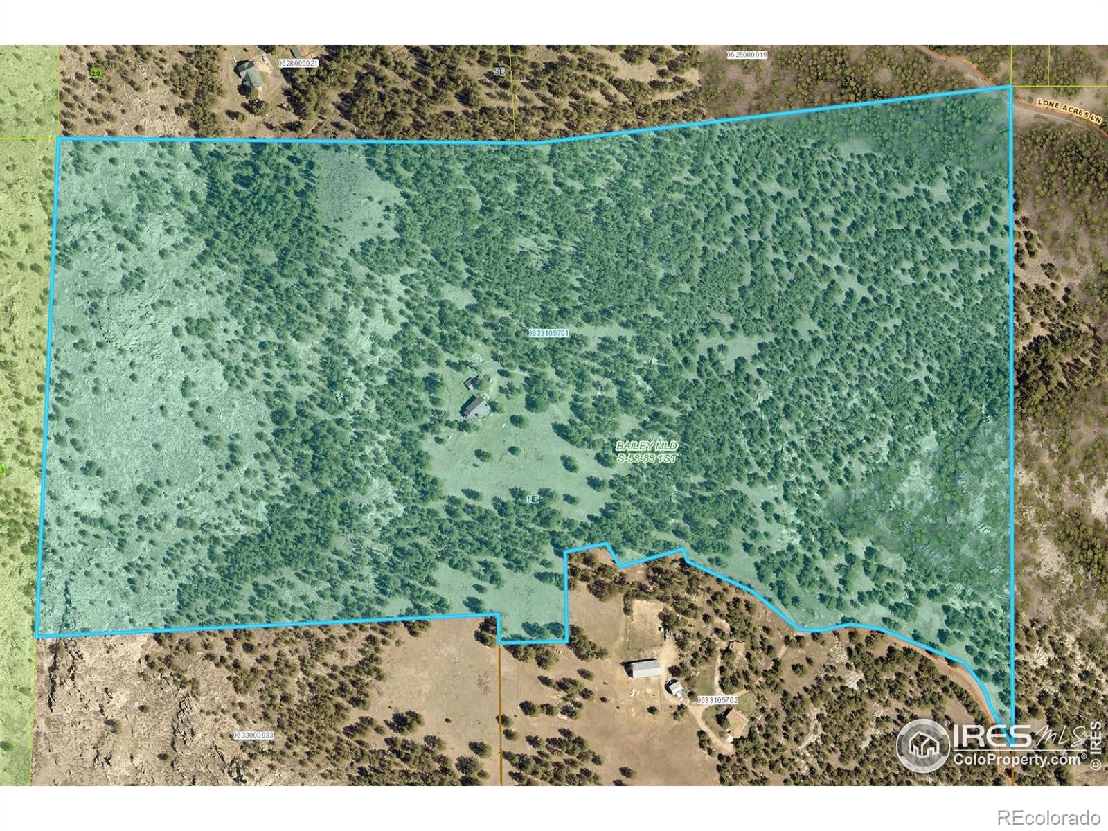 10297 Forest View Drive