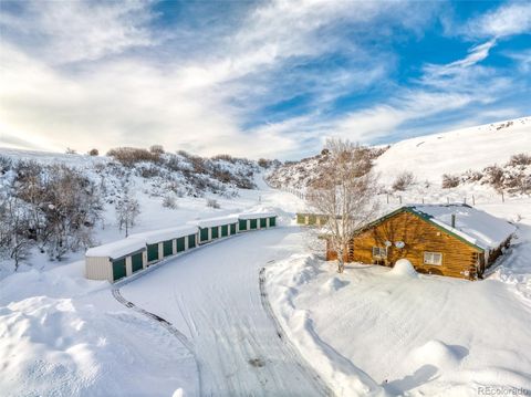2780 Acre Lane, Steamboat Springs, CO 80487 - #: 9010969