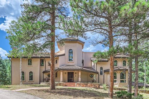 26600 Mowbray Court Evergreen CO 80439