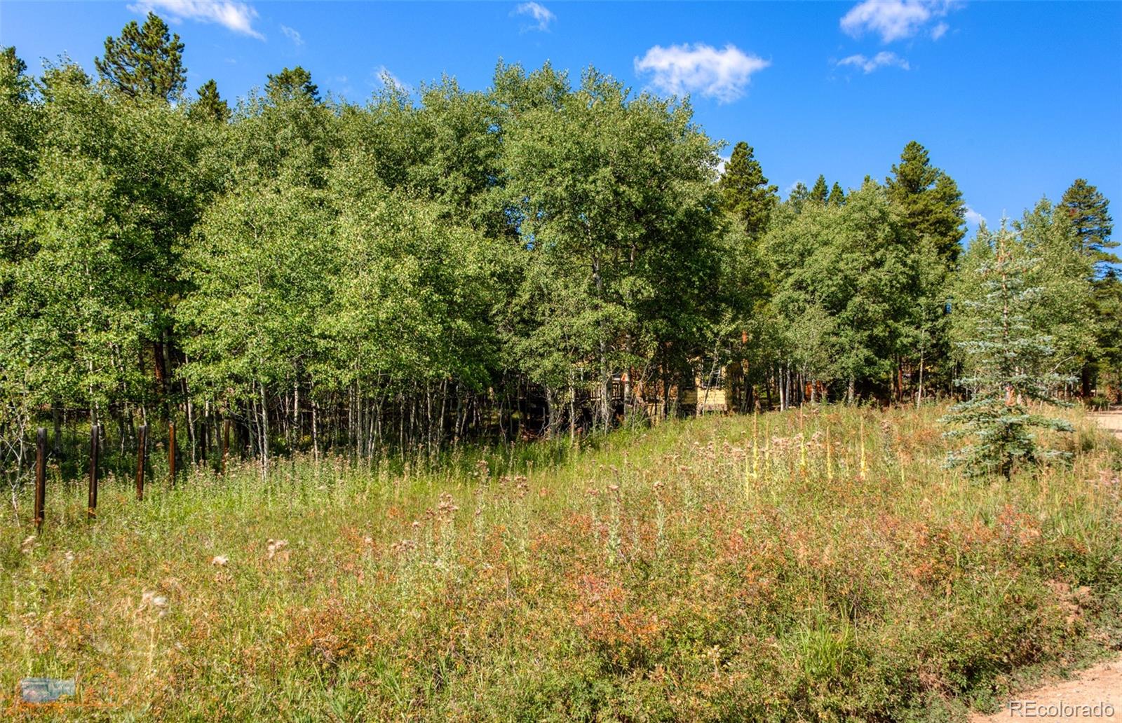 423 Mountain Meadows Drive