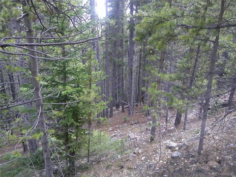 Lot #440 Hillside Road Idaho Springs CO 80452