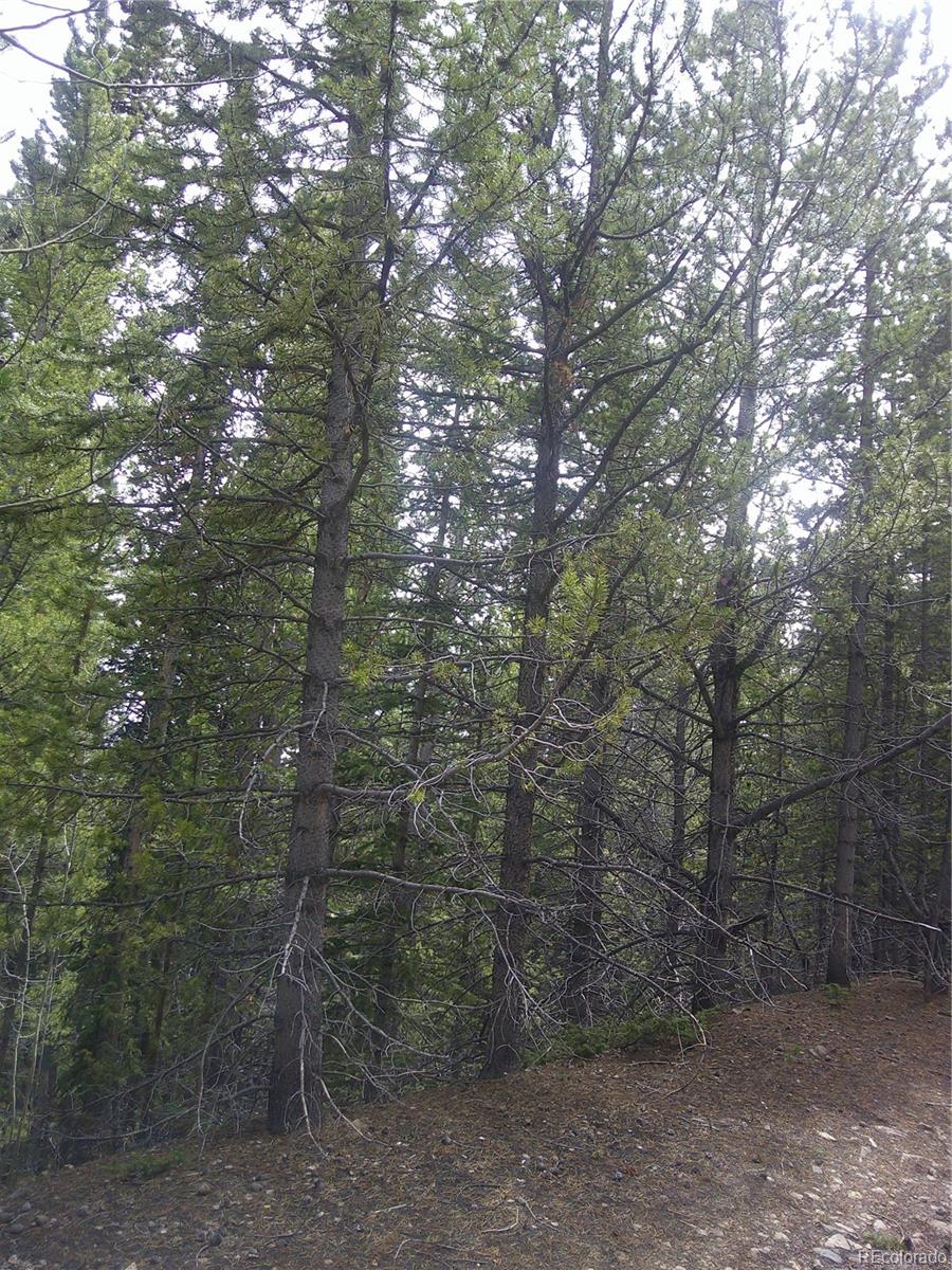 Lot #440 Hillside Road
