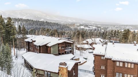 290 Broken Lance Drive B202 Breckenridge CO 80424