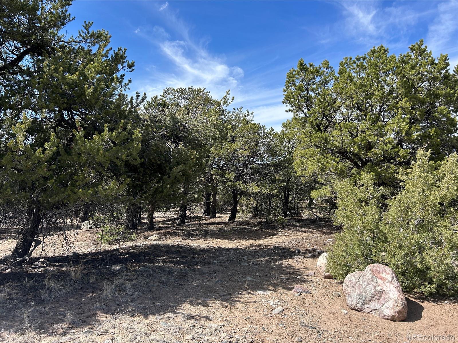 3545 Fallen Tree Place