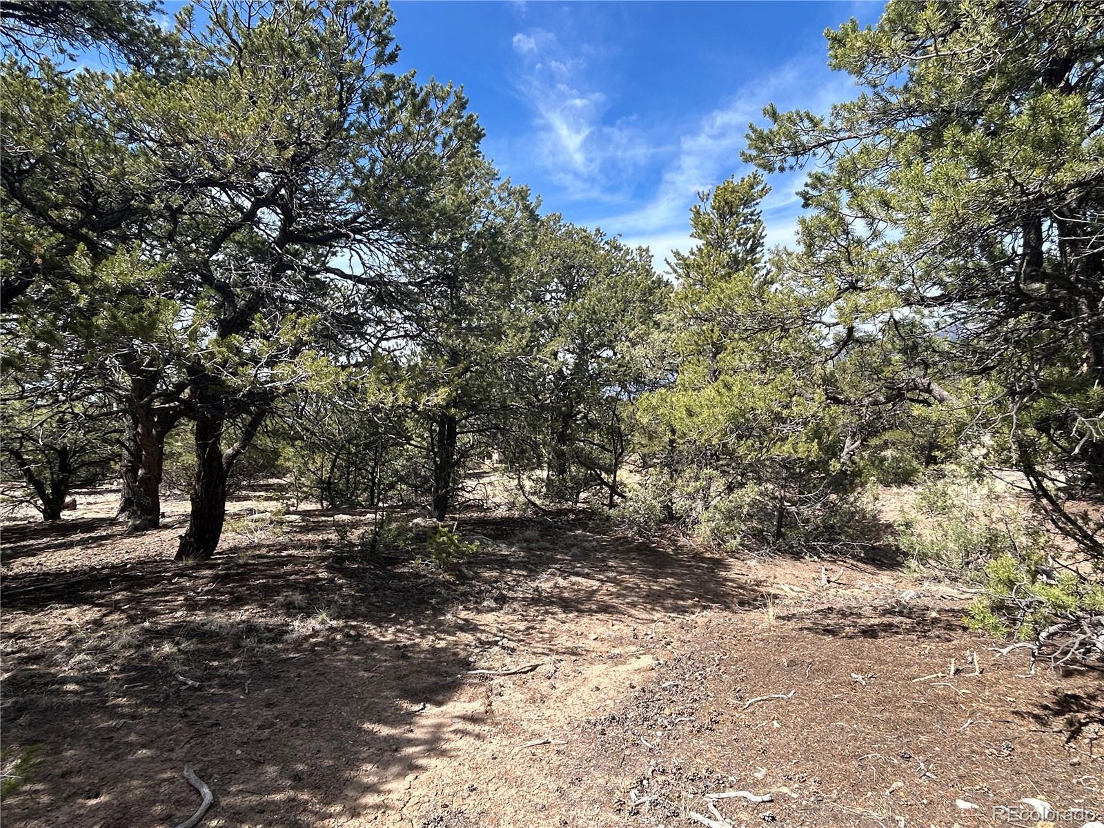 3545 Fallen Tree Place