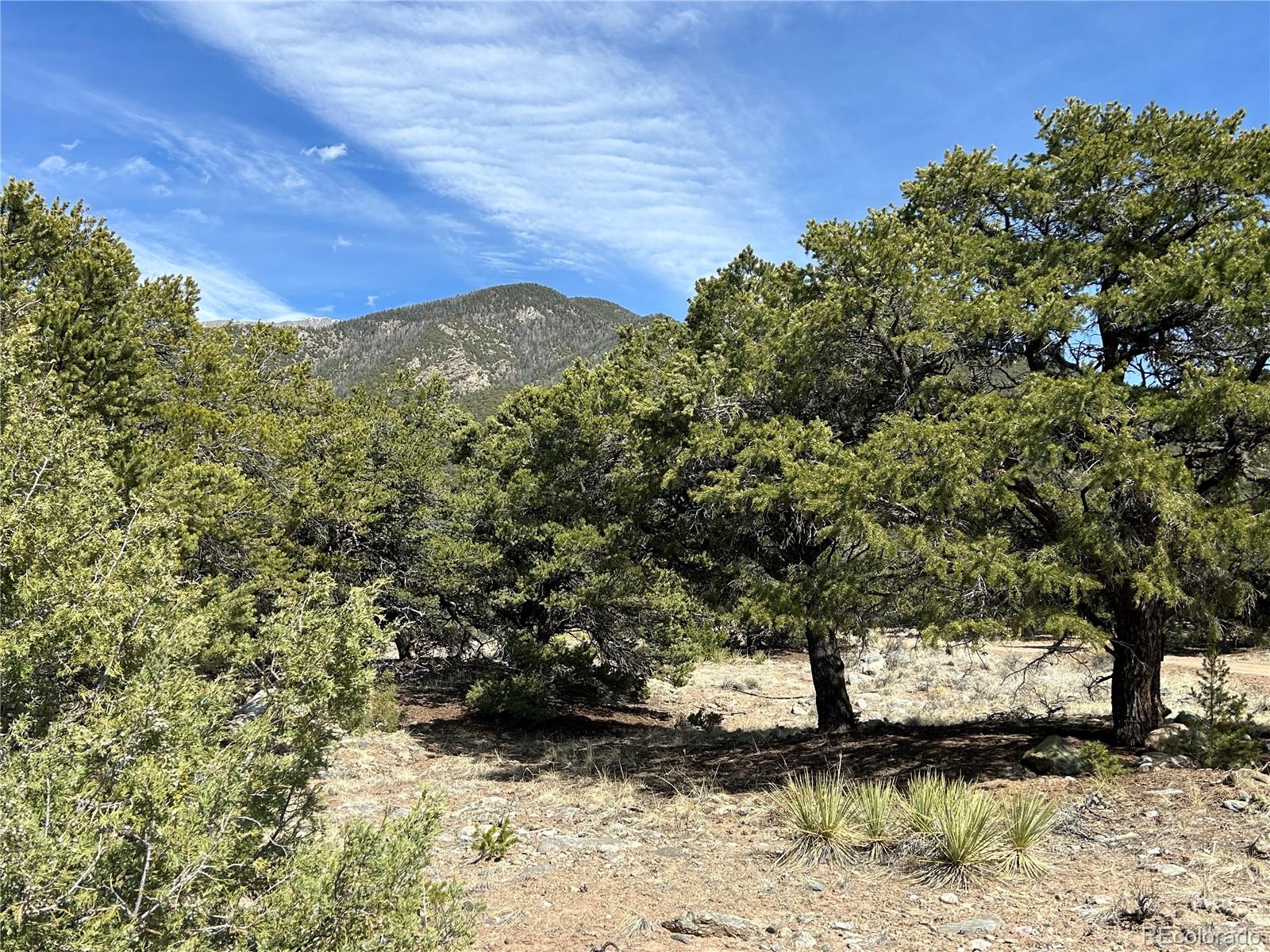 3545 Fallen Tree Place