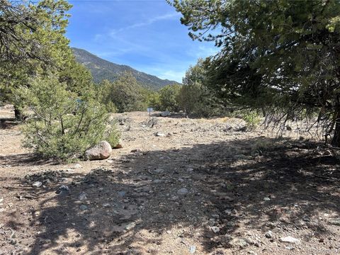 3545 Fallen Tree Place Crestone CO 81131