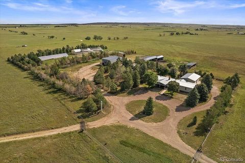 24550 E State Highway 110, Calhan, CO 80808 - #: 5164760