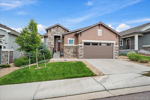 3336 Goodyear Street Castle Rock CO 80109