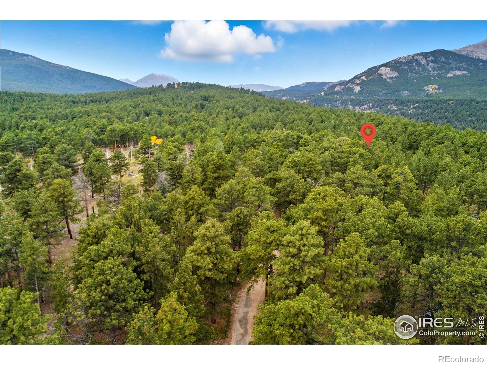 437 County Road 84 W