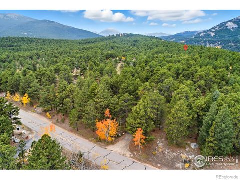 437 County Road 84 W Allenspark CO 80510