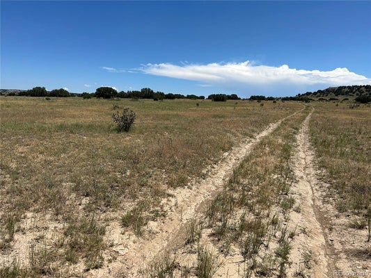 LOT 17 LONG HORN RANCH, MODEL, CO 81059 - Image 25789b26dc9970f7af4b89dbaef45e4e/2785369910