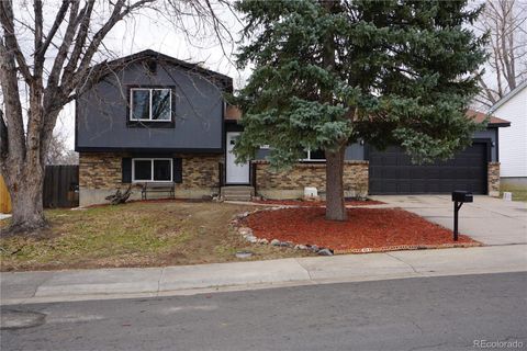 10536 Pierson Circle, Westminster, CO 80021 - #: 5500678
