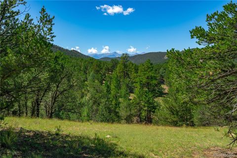 Lot 9 Sundance Road Cotopaxi CO 81223