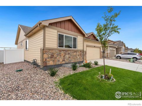 1710 101st Ave Ct, Greeley, CO 80634 - #: IR999021